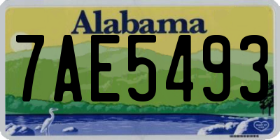 AL license plate 7AE5493