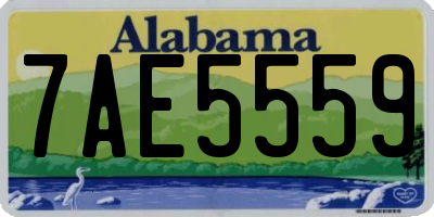 AL license plate 7AE5559