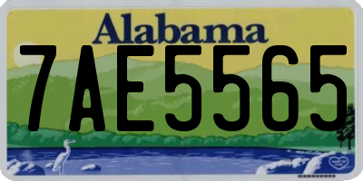 AL license plate 7AE5565