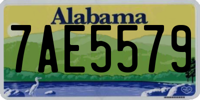 AL license plate 7AE5579
