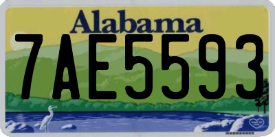 AL license plate 7AE5593
