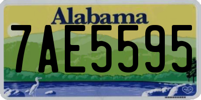 AL license plate 7AE5595
