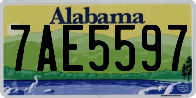 AL license plate 7AE5597