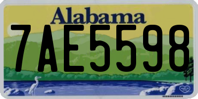 AL license plate 7AE5598
