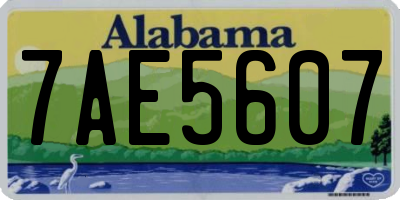 AL license plate 7AE5607