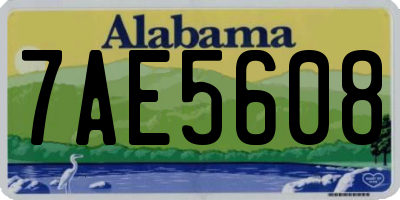 AL license plate 7AE5608
