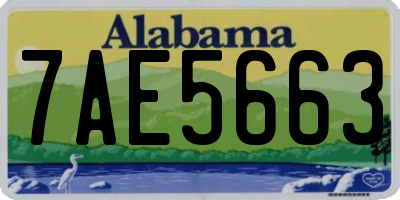 AL license plate 7AE5663