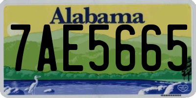 AL license plate 7AE5665