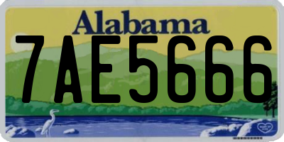 AL license plate 7AE5666