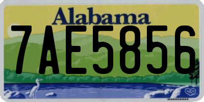 AL license plate 7AE5856