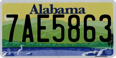AL license plate 7AE5863