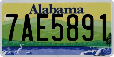 AL license plate 7AE5891