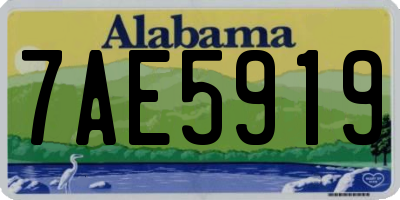 AL license plate 7AE5919