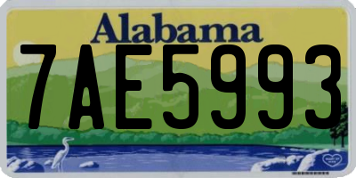 AL license plate 7AE5993