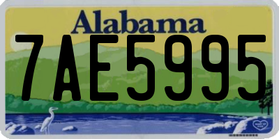 AL license plate 7AE5995