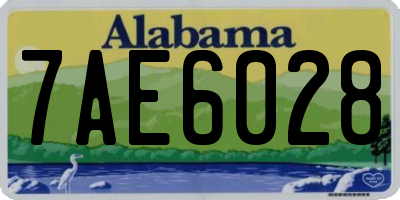 AL license plate 7AE6028