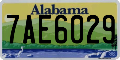 AL license plate 7AE6029