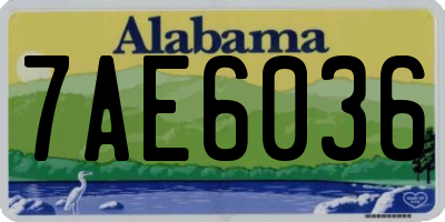 AL license plate 7AE6036