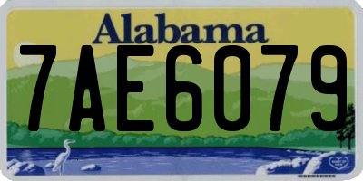 AL license plate 7AE6079