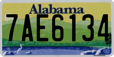 AL license plate 7AE6134