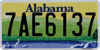 AL license plate 7AE6137