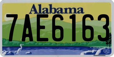 AL license plate 7AE6163