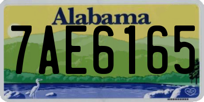 AL license plate 7AE6165