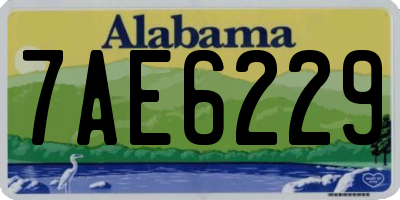 AL license plate 7AE6229