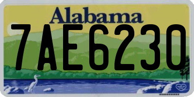 AL license plate 7AE6230