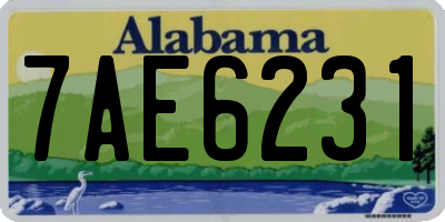 AL license plate 7AE6231