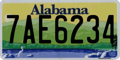 AL license plate 7AE6234