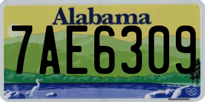 AL license plate 7AE6309