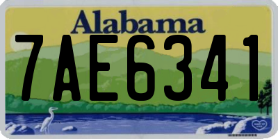 AL license plate 7AE6341