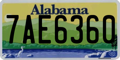 AL license plate 7AE6360