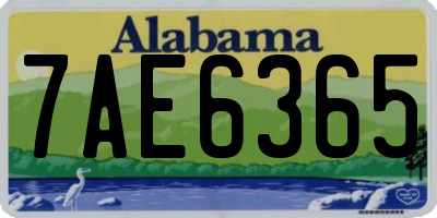 AL license plate 7AE6365