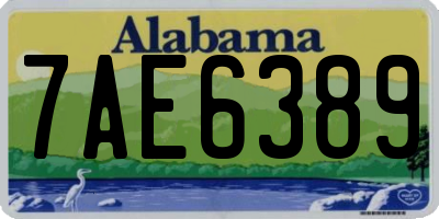 AL license plate 7AE6389