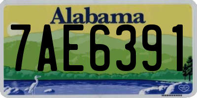 AL license plate 7AE6391