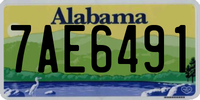 AL license plate 7AE6491