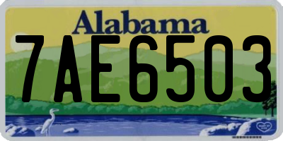 AL license plate 7AE6503