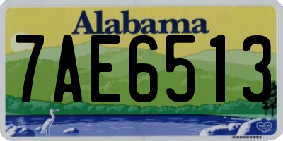 AL license plate 7AE6513