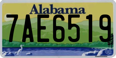 AL license plate 7AE6519