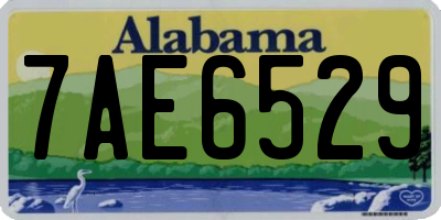 AL license plate 7AE6529