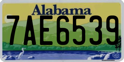 AL license plate 7AE6539