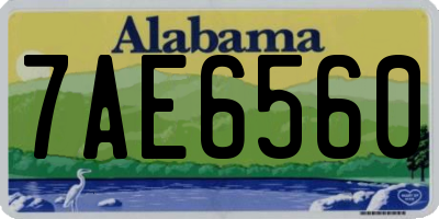 AL license plate 7AE6560