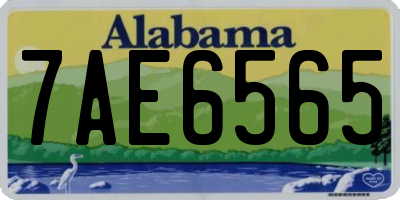 AL license plate 7AE6565