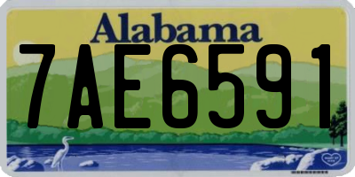 AL license plate 7AE6591