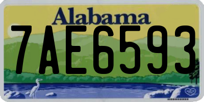 AL license plate 7AE6593