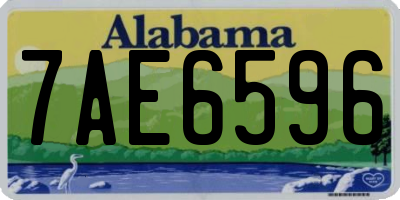 AL license plate 7AE6596