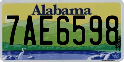 AL license plate 7AE6598