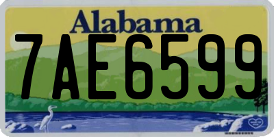 AL license plate 7AE6599
